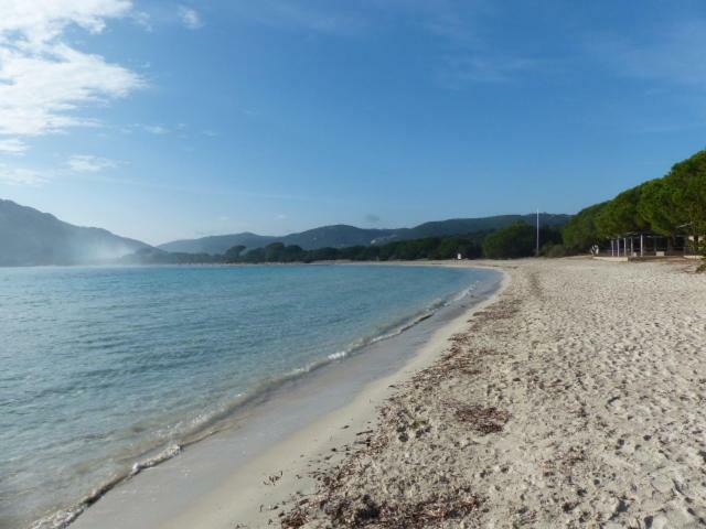 Luna Verde Porto Vecchio Esterno foto