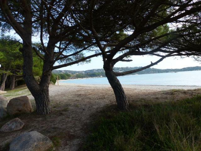 Luna Verde Porto Vecchio Esterno foto